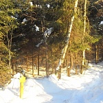 Продается лесной участок ИЖС без подряда с коммуникациями в д Рыбаки, 23 км, озеро Долгое  ID: 1408